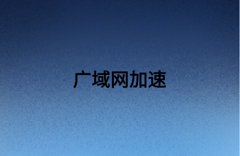 廣域網加速技術提高企業網絡傳輸速率