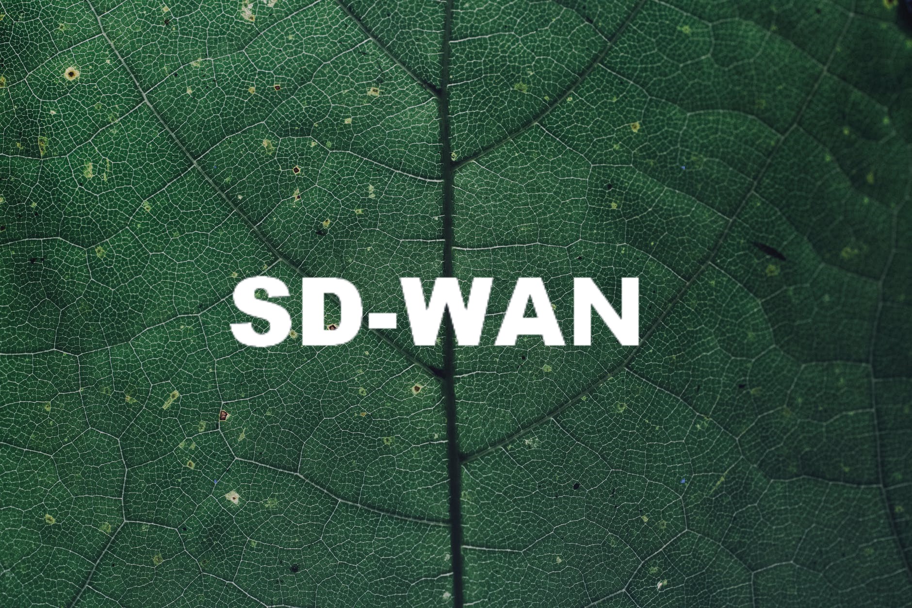 利用SD-WAN技術避免或減少中斷