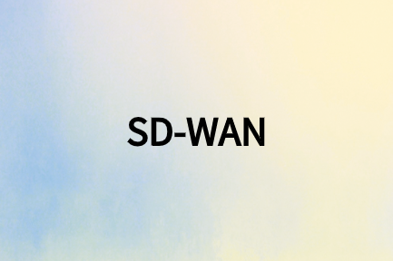 訪問云應用的SD-WAN