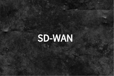 考慮利用SD-WAN解決網絡問題