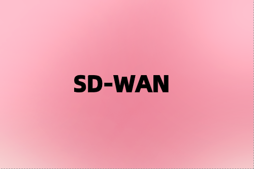 利用SD-WAN網絡彈性增強您的業務