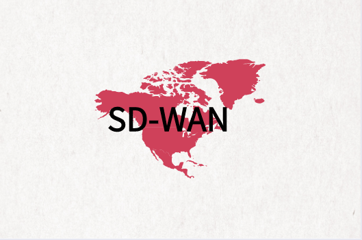 SD-WAN組網