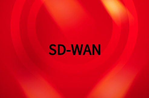 SD-WAN如何有效靈活滿足您企業業務需求?