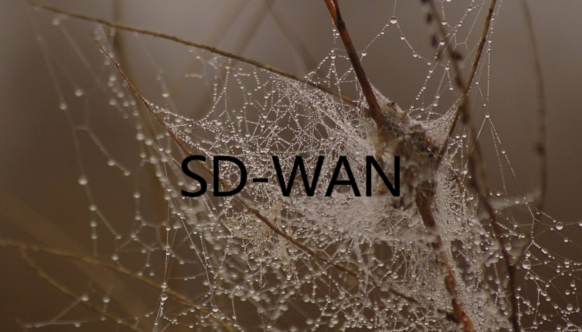 SD-WAN 是如何優化廣域網的?